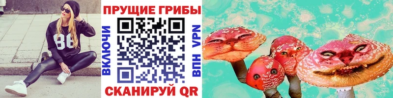 маркетплейс клад  Майкоп  Галлюциногенные грибы мицелий 