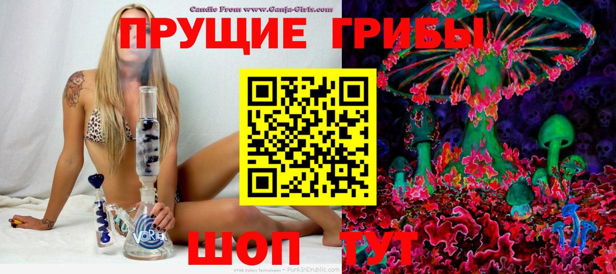 Псилоцибиновые грибы Magic Shrooms  Вход с VPN  цены   Майкоп 